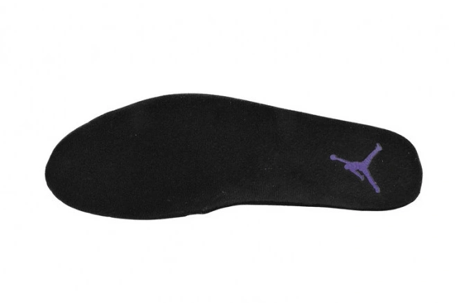 Rep TBK CT8013-057 Air Jordan Retro Field 12 Purple 0715